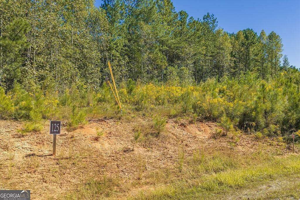 3.74 Acres of Residential Land for Sale in Talking Rock, Georgia