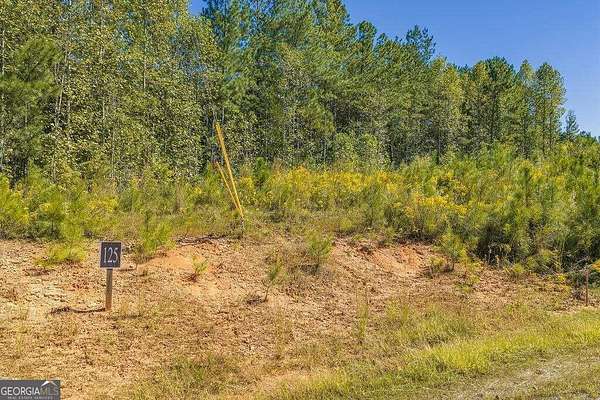3.74 Acres of Residential Land for Sale in Talking Rock, Georgia