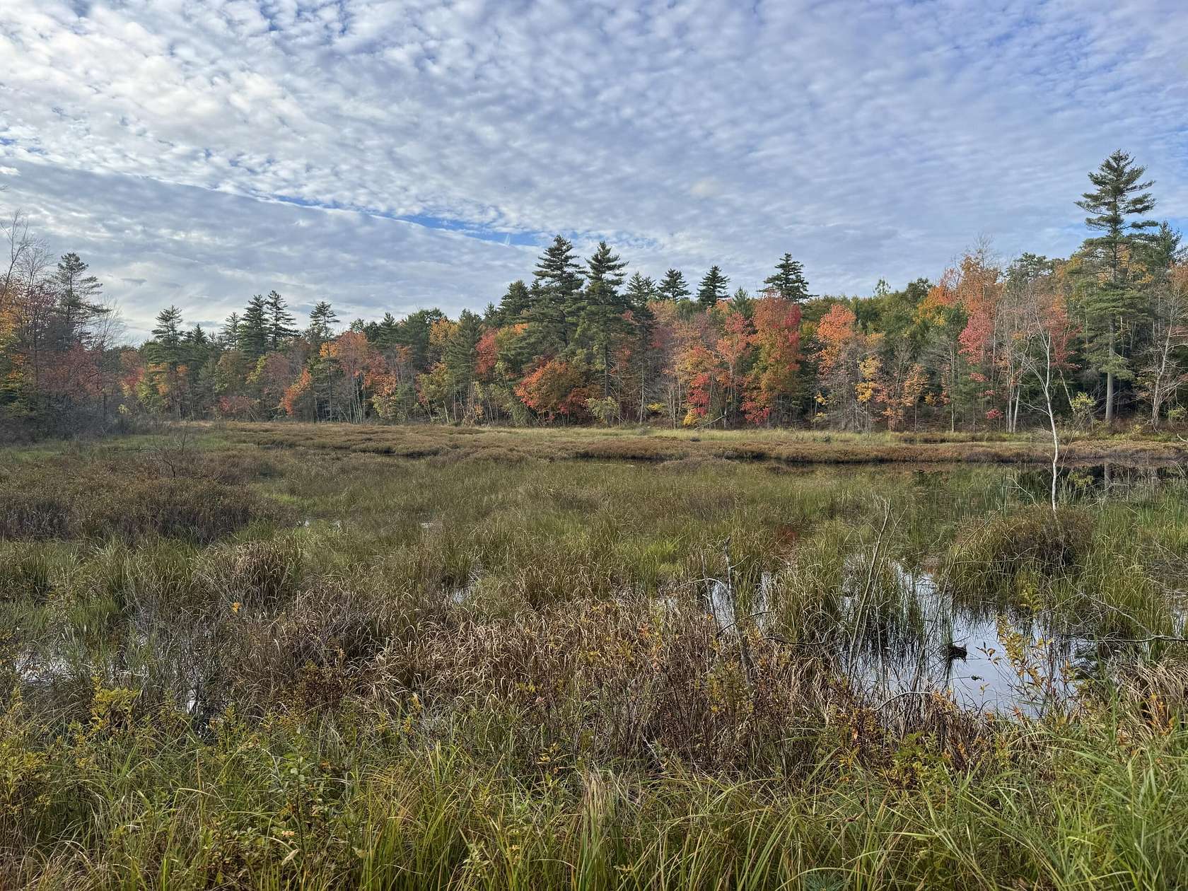 11.9 Acres of Land for Sale in Newfield, Maine