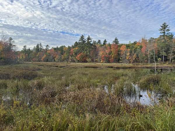 11.9 Acres of Land for Sale in Newfield, Maine
