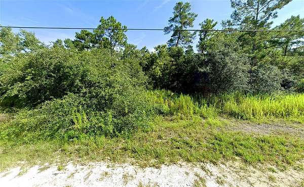 0.48 Acres of Residential Land for Sale in Weeki Wachee, Florida