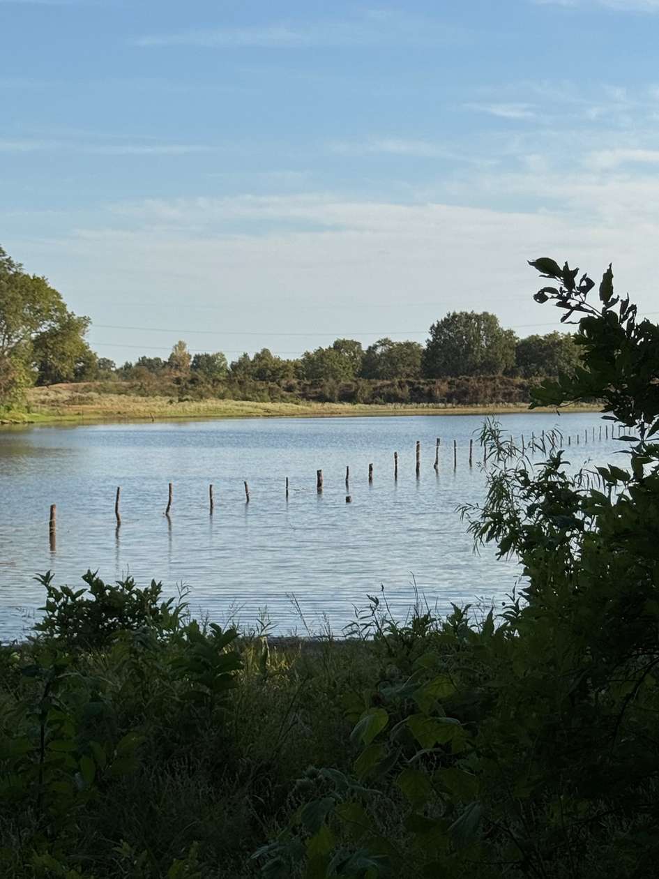 25 Acres of Recreational & Residential Land for Sale in Idabel, Oklahoma
