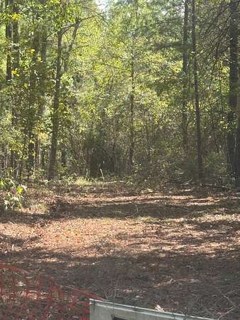 48 Acres of Recreational & Residential Land for Sale in Idabel, Oklahoma