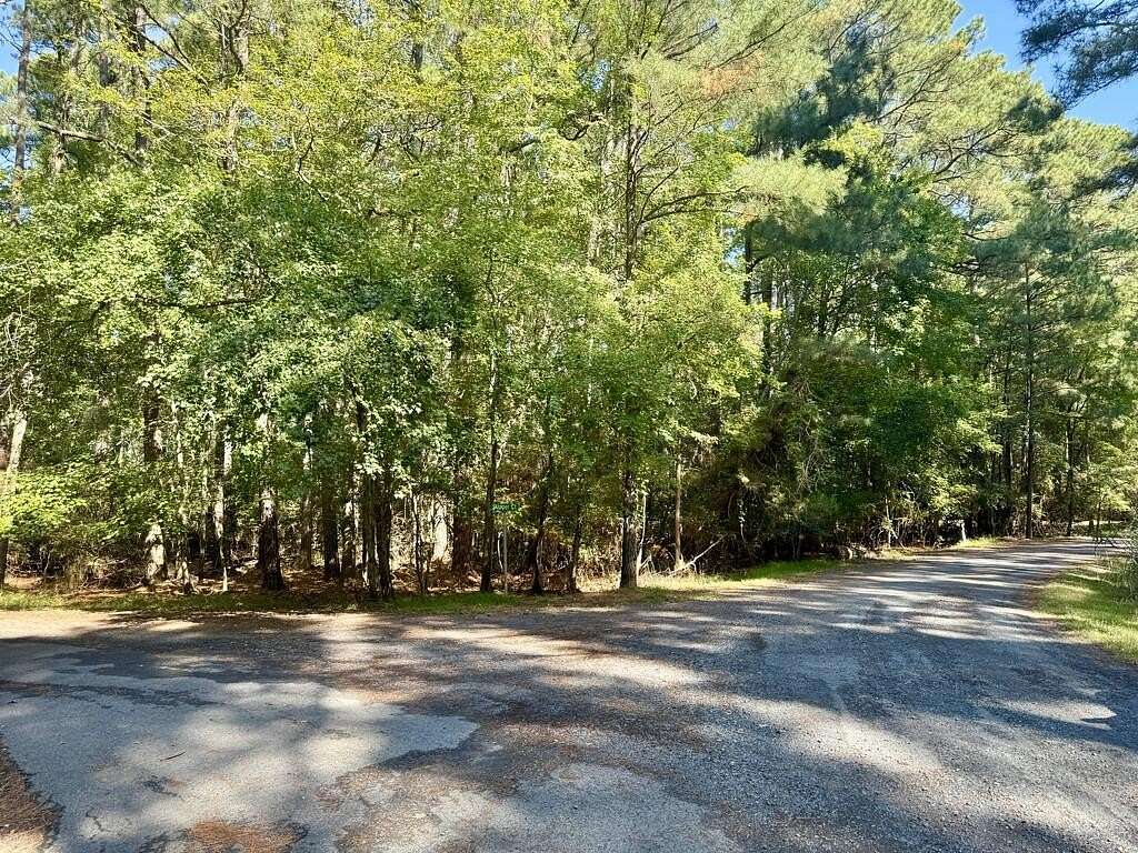 0.26 Acres of Residential Land for Sale in Greenbackville, Virginia