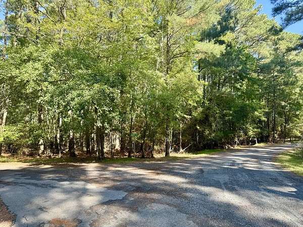 0.26 Acres of Residential Land for Sale in Greenbackville, Virginia