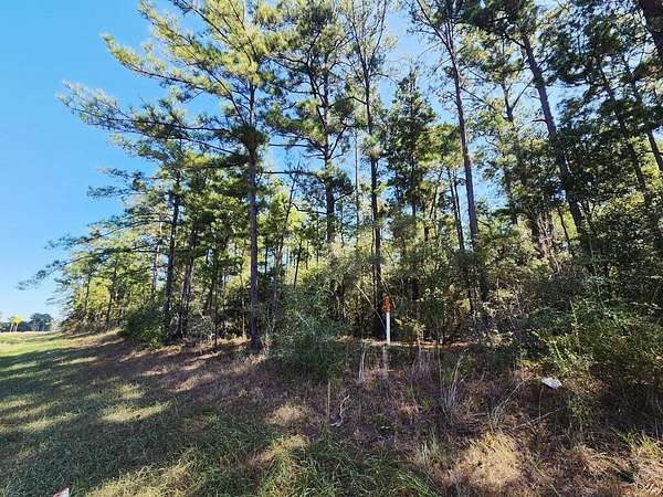 7.78 Acres of Land for Sale in Newton, Texas