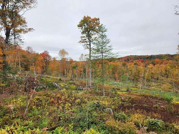 10.4 Acres of Recreational & Residential Land for Sale in Morgan, Vermont