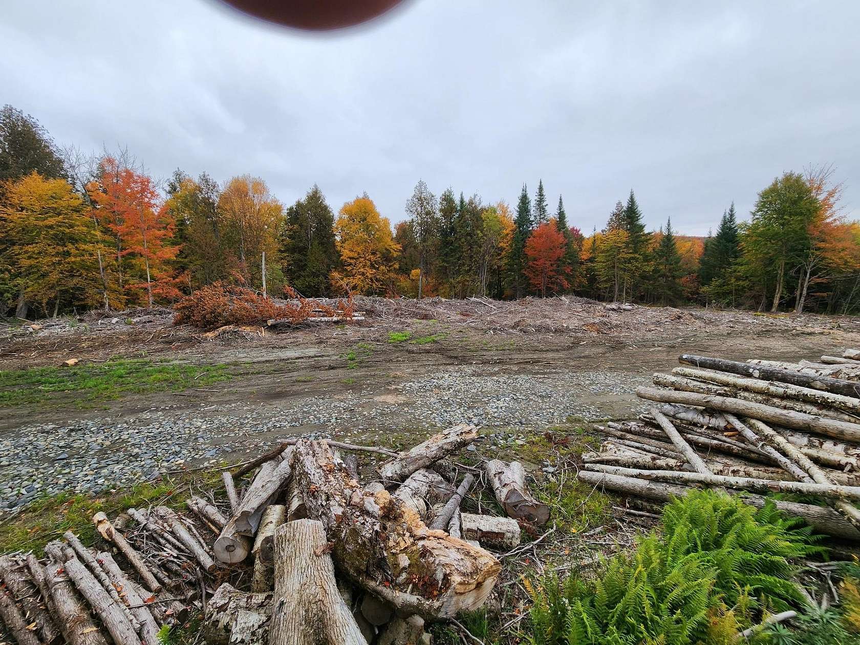 13 Acres of Recreational & Residential Land for Sale in Morgan, Vermont
