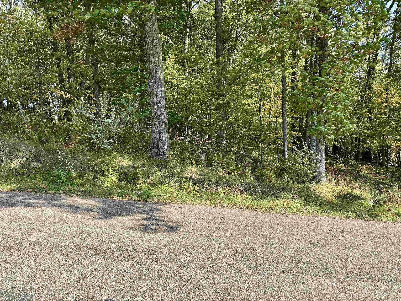 3 Acres of Land for Sale in Iola, Wisconsin