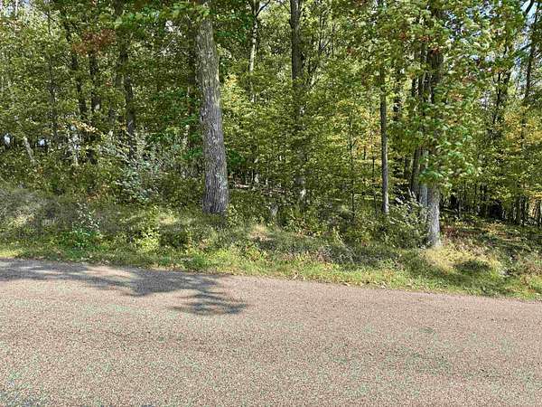 3 Acres of Land for Sale in Iola, Wisconsin