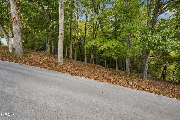 0.74 Acres of Residential Land for Sale in Church Hill, Tennessee