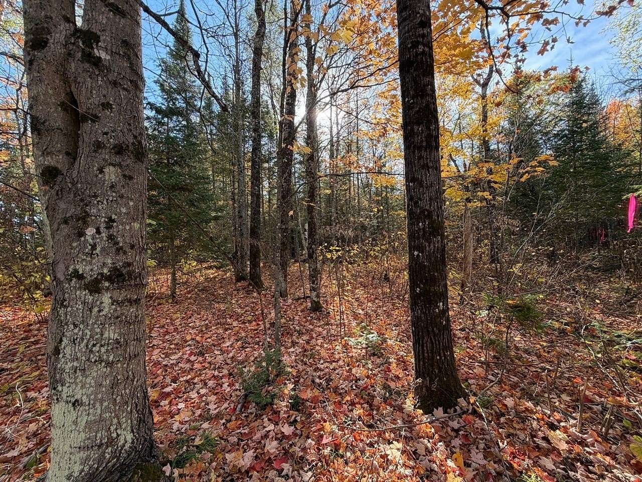 2.43 Acres of Residential Land for Sale in Mercer, Wisconsin