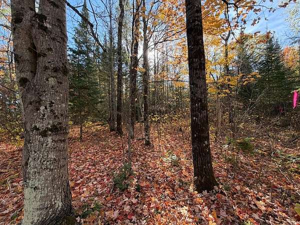 2.43 Acres of Residential Land for Sale in Mercer, Wisconsin