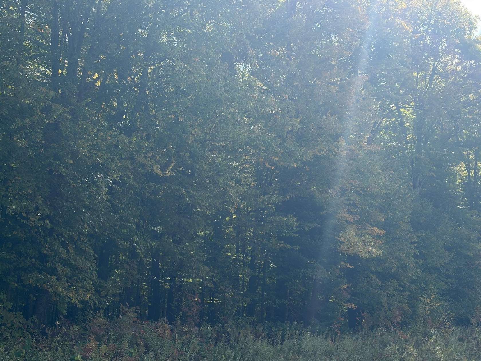 444 Acres of Recreational Land for Sale in Park Falls, Wisconsin