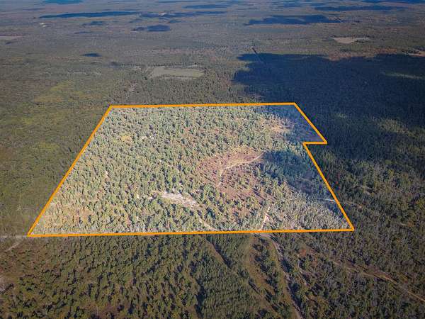 153 Acres of Recreational Land with Home for Sale in Wellston, Michigan