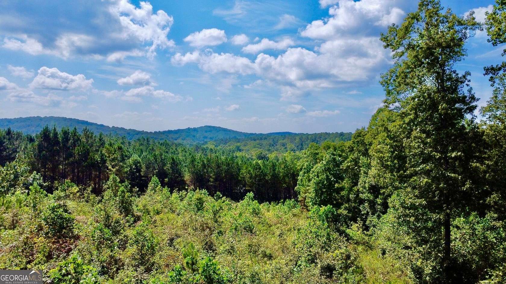 2.67 Acres of Residential Land for Sale in Talking Rock, Georgia