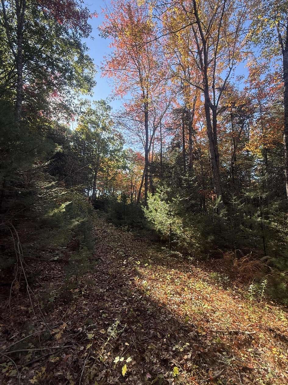 14 Acres of Land for Sale in Sedgwick, Maine