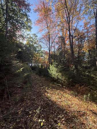 14 Acres of Land for Sale in Sedgwick, Maine