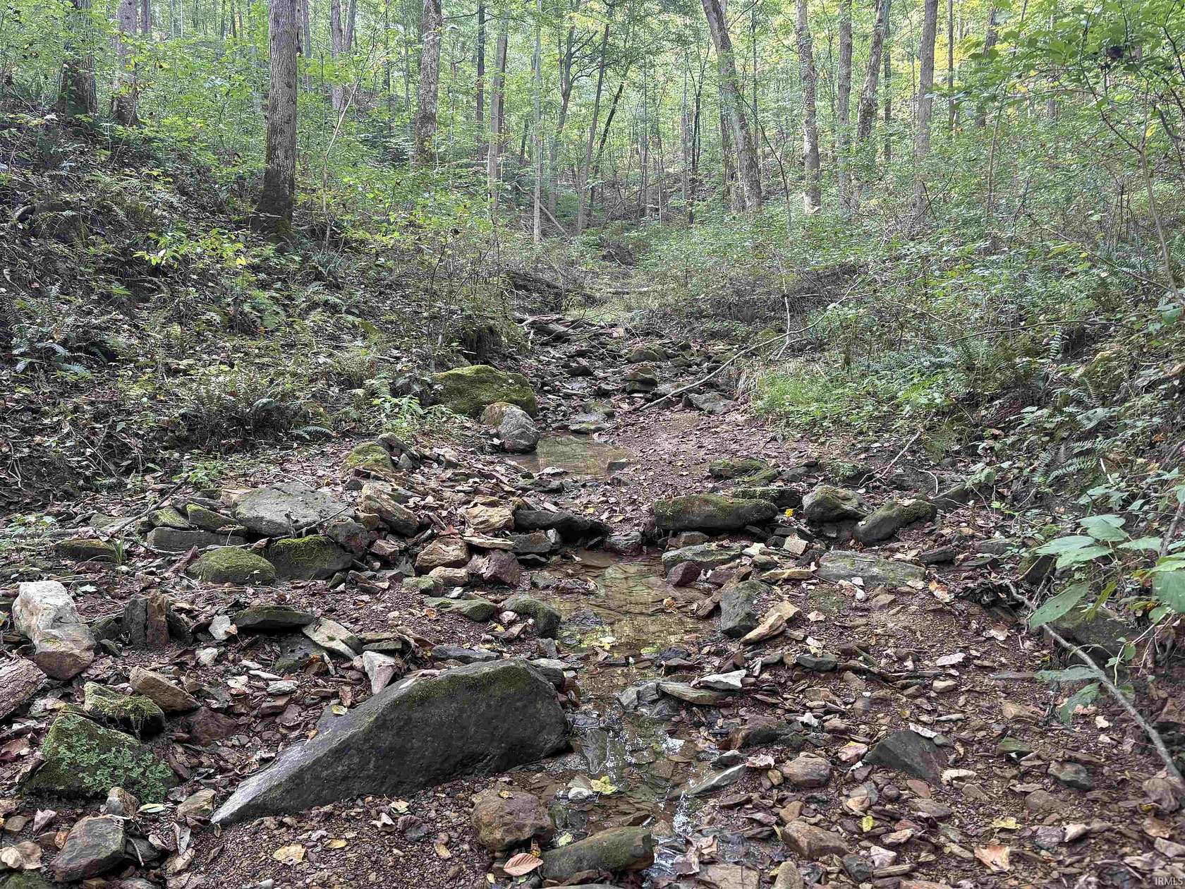 29 Acres of Recreational & Residential Land for Sale in Mitchell, Indiana