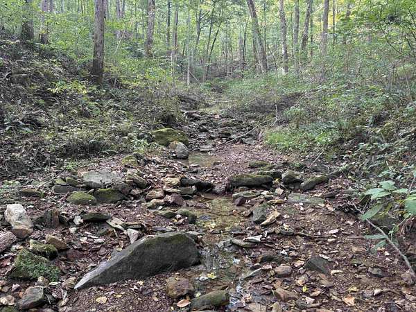 29 Acres of Recreational & Residential Land for Sale in Mitchell, Indiana
