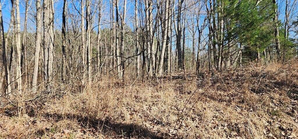 0.5 Acres of Land for Sale in Holladay, Tennessee
