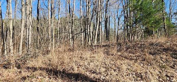 0.5 Acres of Land for Sale in Holladay, Tennessee