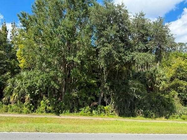 0.14 Acres of Land for Sale in Bushnell, Florida