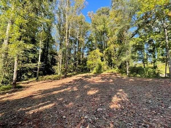 0.39 Acres of Residential Land for Sale in Stone Mountain, Georgia