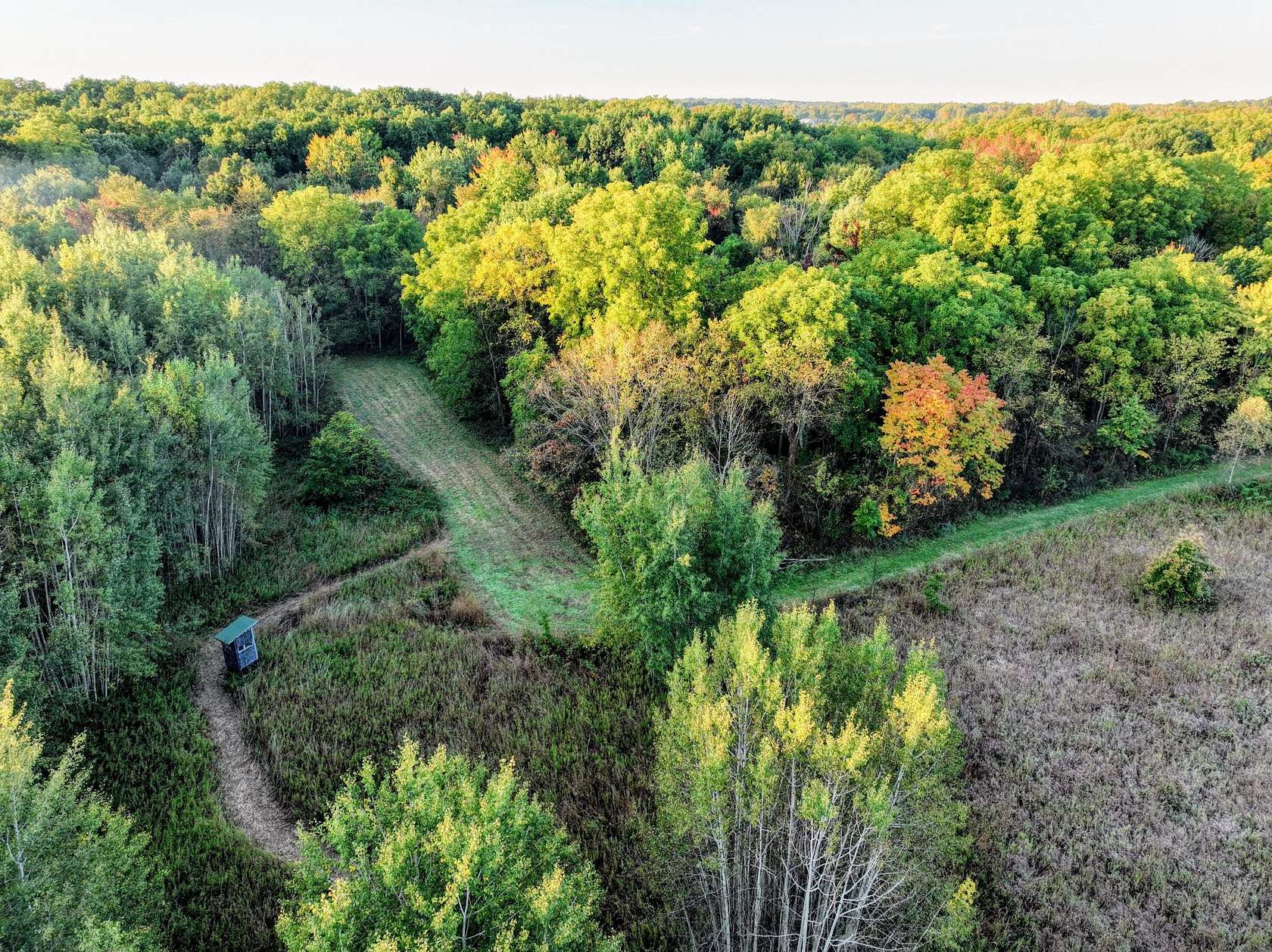 93 Acres of Land for Sale in Homer, Michigan