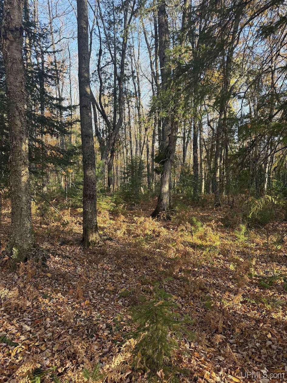 10.5 Acres of Recreational Land for Sale in Nisula, Michigan