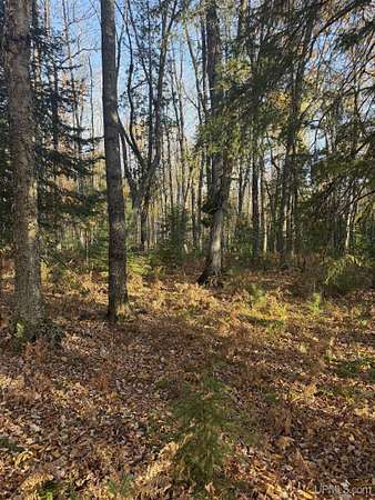 10.5 Acres of Recreational Land for Sale in Nisula, Michigan