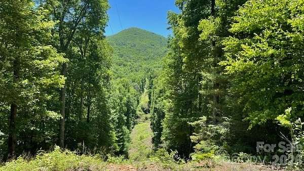 64 Acres of Recreational & Residential Land for Sale in Cullowhee, North Carolina