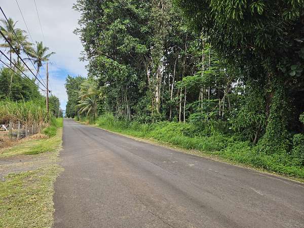 1 Acre of Residential Land for Sale in Keaau, Hawaii