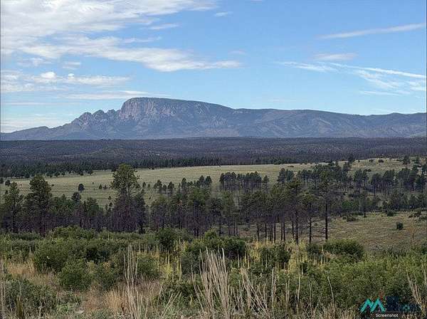 15.1 Acres of Land for Sale in Rociada, New Mexico