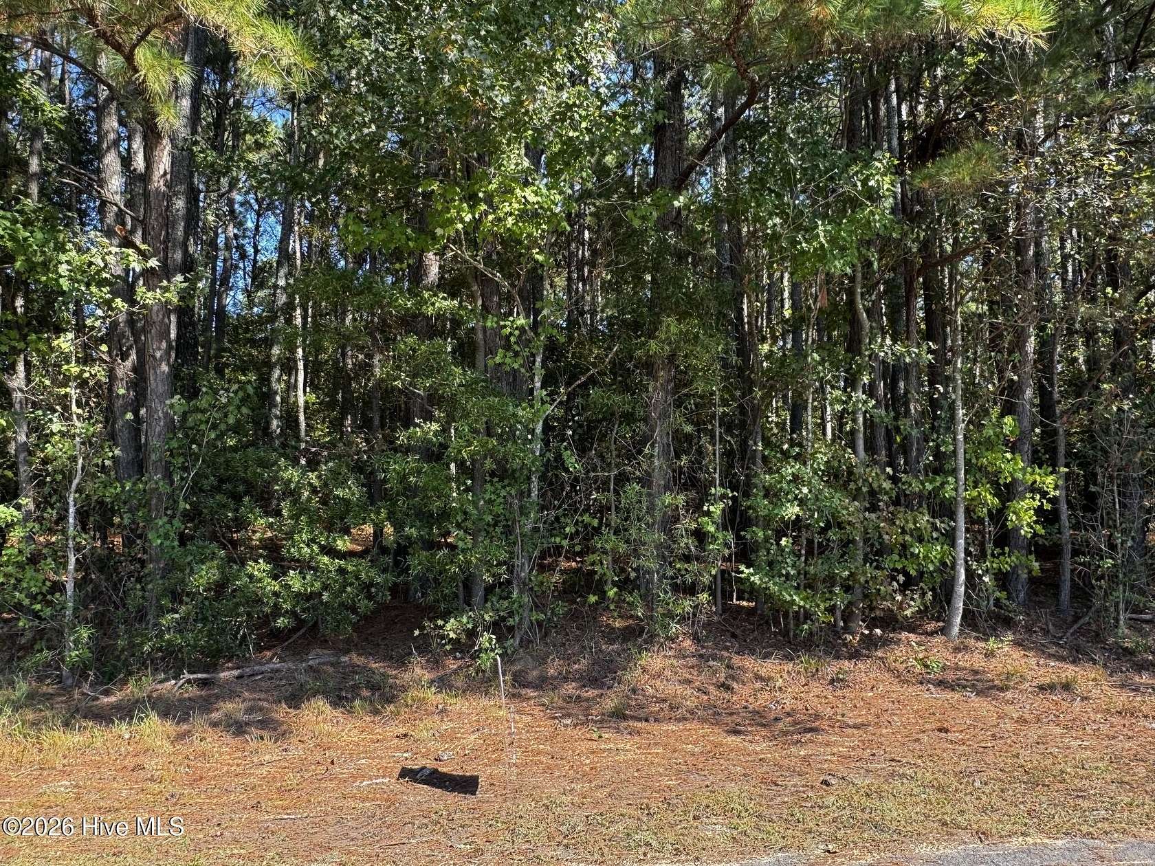 0.81 Acres of Residential Land for Sale in Clinton, North Carolina