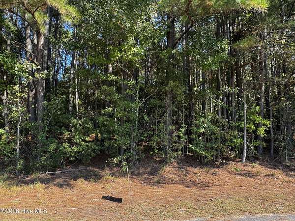 0.81 Acres of Residential Land for Sale in Clinton, North Carolina