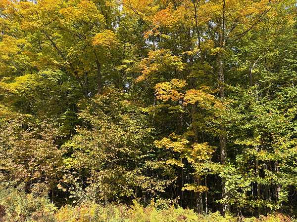 80 Acres of Recreational Land for Sale in Florence, Wisconsin