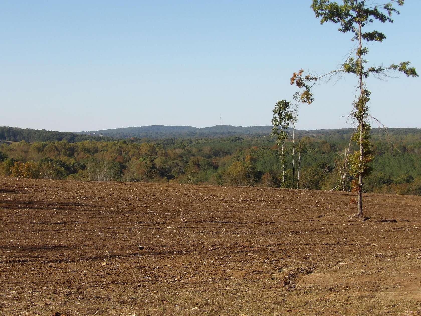 7 Acres of Land for Sale in Evensville, Tennessee