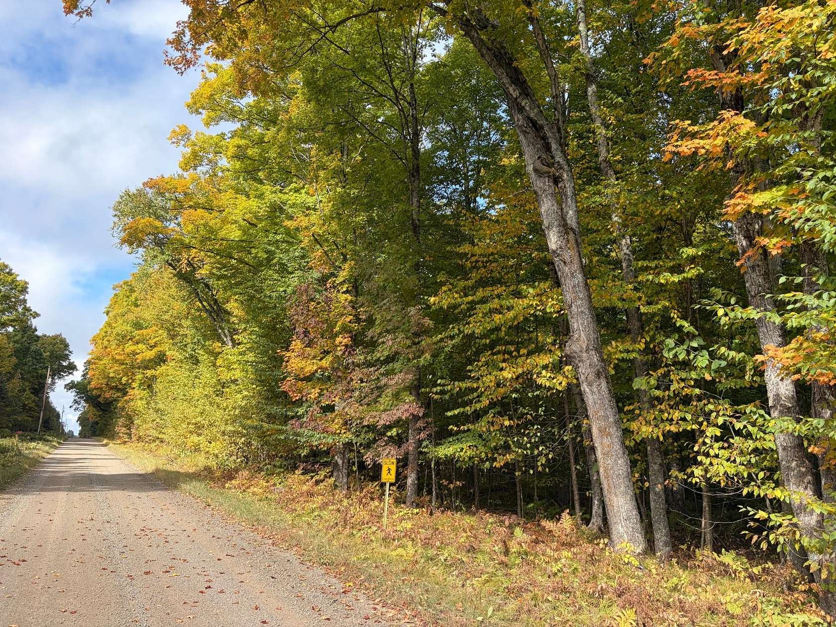 78.5 Acres of Recreational Land for Sale in Florence, Wisconsin