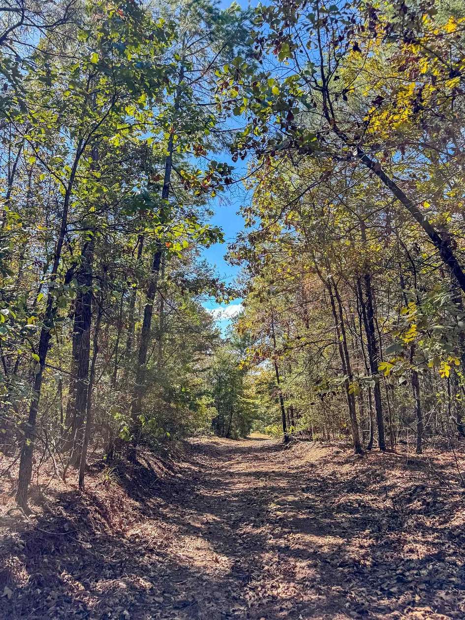 635 Acres of Recreational & Residential Land for Sale in Avinger, Texas