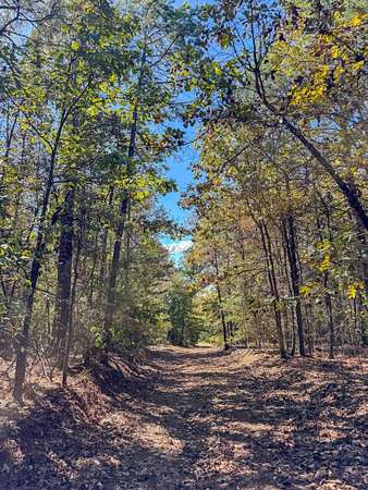 635 Acres of Recreational & Residential Land for Sale in Avinger, Texas