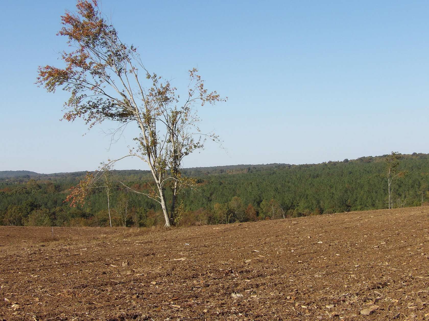 10.9 Acres of Agricultural Land for Sale in Evensville, Tennessee