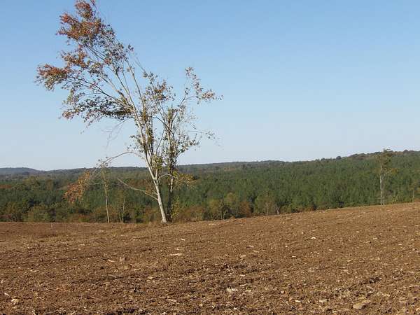 10.9 Acres of Agricultural Land for Sale in Evensville, Tennessee