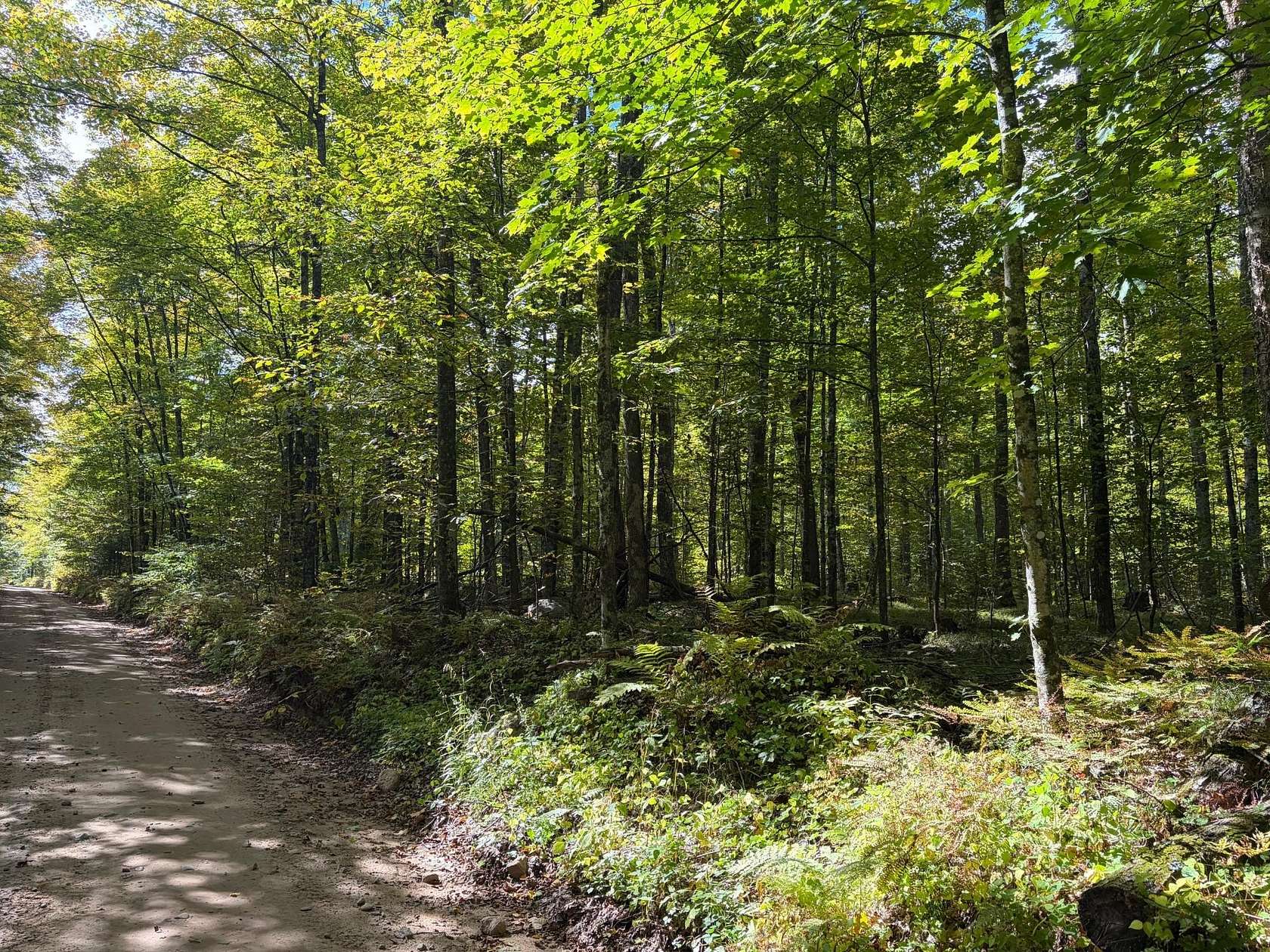 60 Acres of Recreational Land for Sale in Fence, Wisconsin