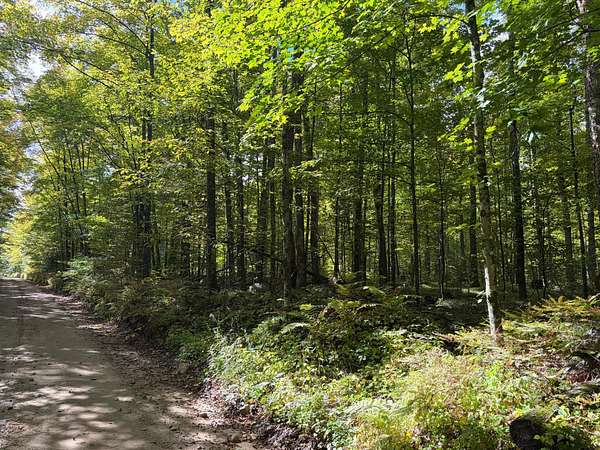 60 Acres of Recreational Land for Sale in Fence, Wisconsin