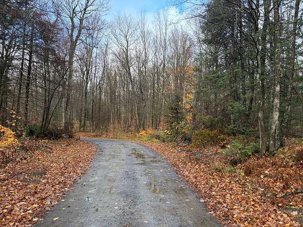 80.6 Acres of Recreational Land for Sale in Iron River Township, Michigan