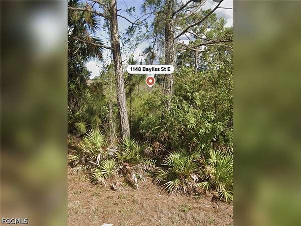 0.25 Acres of Mixed-Use Land for Sale in Lehigh Acres, Florida