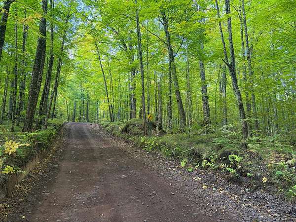 80 Acres of Recreational Land for Sale in Florence, Wisconsin