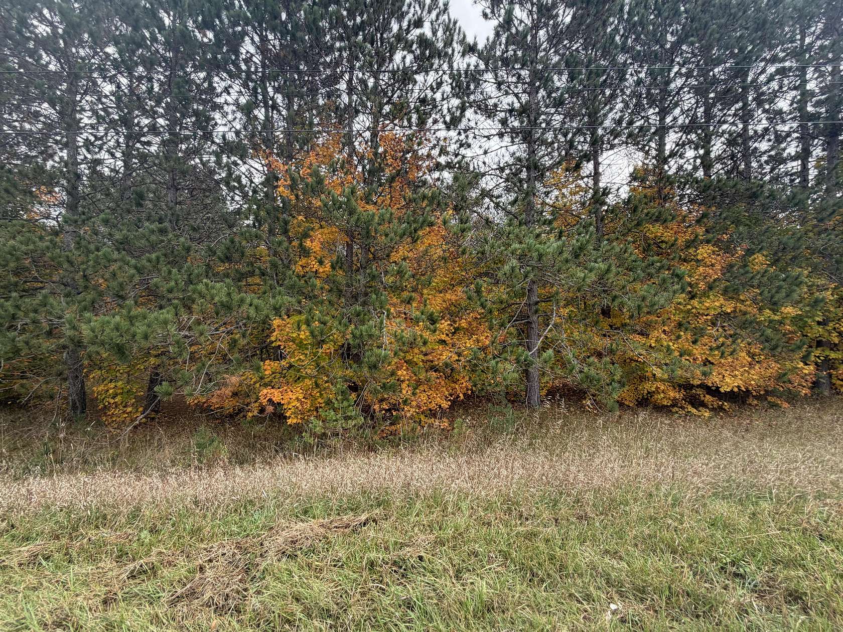 20.1 Acres of Land for Sale in Kalkaska, Michigan