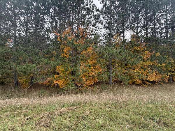20.1 Acres of Land for Sale in Kalkaska, Michigan